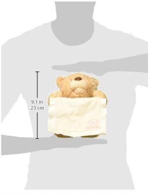 美國 GUND MY FIRST TEDDY PEEK A BOO 11.5"